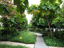 Flamingo Valley (D15), Condominium #576680981